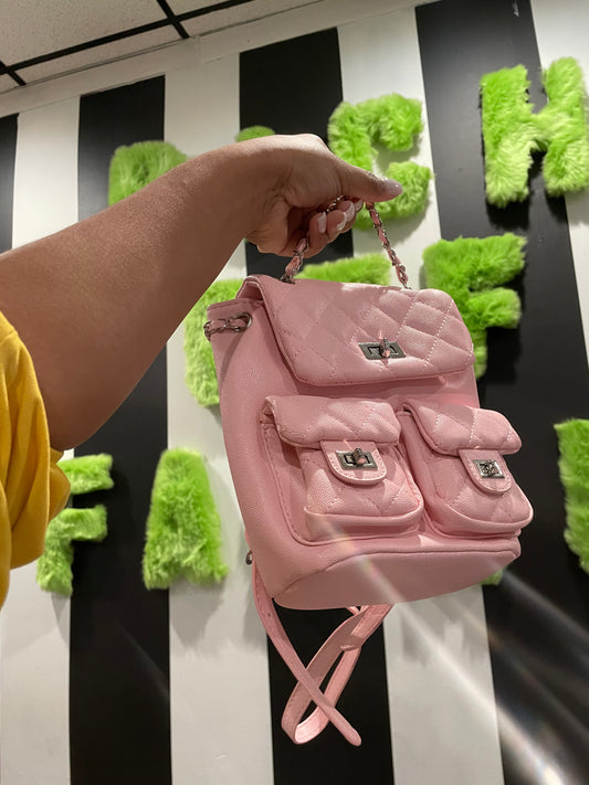 “ Malibu” BackPack Purse ( Pink)